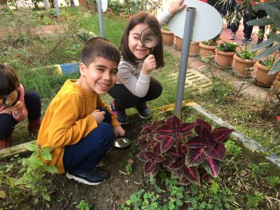 NERGİSLER SINIFI BAKLA EKİYOR:) YAPARAK YAŞAYARAK ÖĞRENMEYİ SEVİYORUZ :)