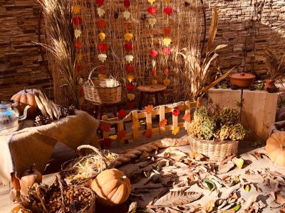 NERGİSLER SINIFI SONBAHAR ŞENLİĞİ :)