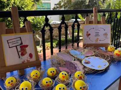 Tavuğun Hayat Döngüsü